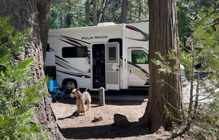 Family Rv 2020 Thor Motor Coach Four Winds 23U