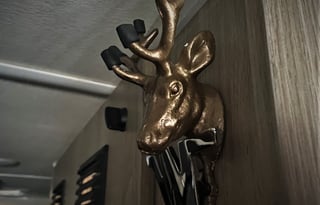 2022 Winnebago Solis camper van 4 sleepers upgrade