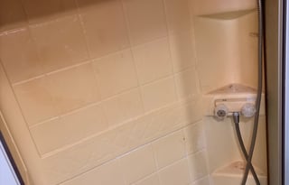 Pet, Family, Party Friendly. House on wheels