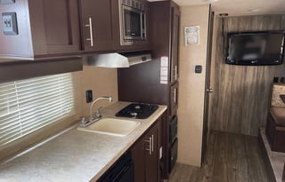 "Wolfy" the Cherokee Wolf Pup