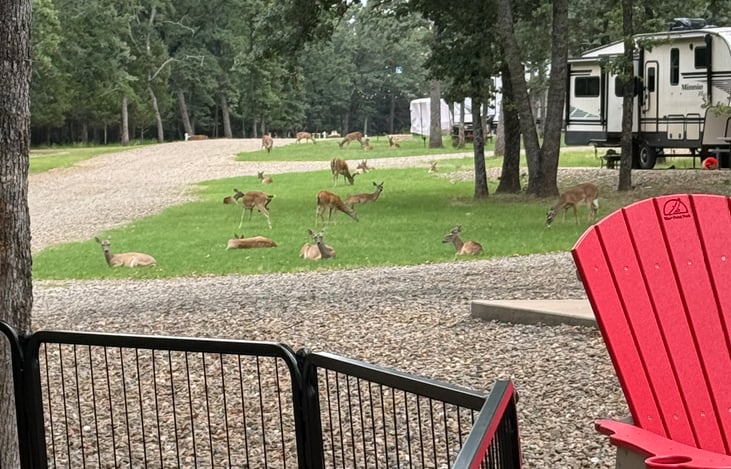 Friends at campsite
