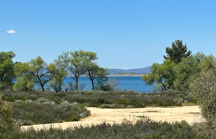 So gorgeous!  walk or ride your bike and reconnect with NATURE!