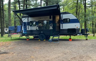 Shilhon Acres Wolf Pup