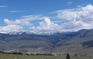 4WD All-Season "Rosie" UNLIMITED MILES + Starlink