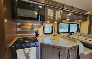 The Bear Necessities