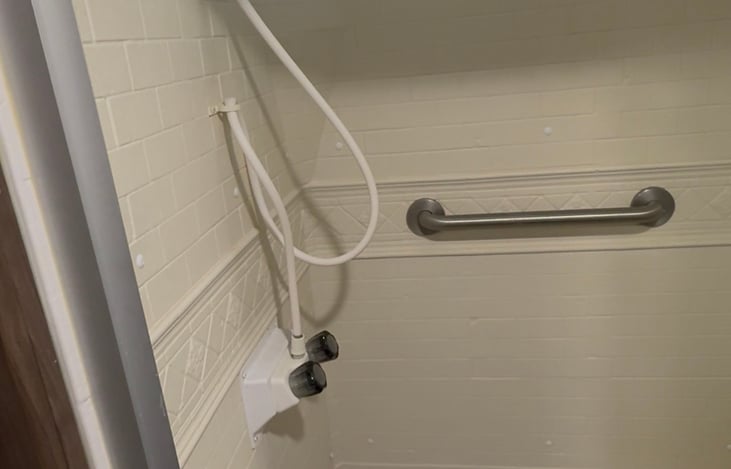 Safety handle in shower