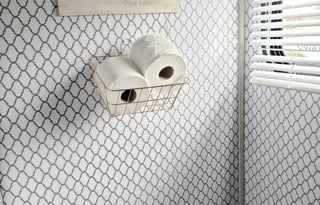 Maverick's one and only Charlie!!!