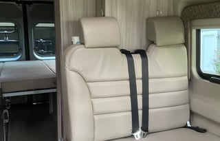 Thor Sequence pet friendly RV!