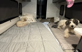 Your Dazzle Adventure Awaits - Thor Dazzle Camper