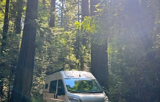 2026 Thor Freedom Elite 17D Pet Friendly Van
