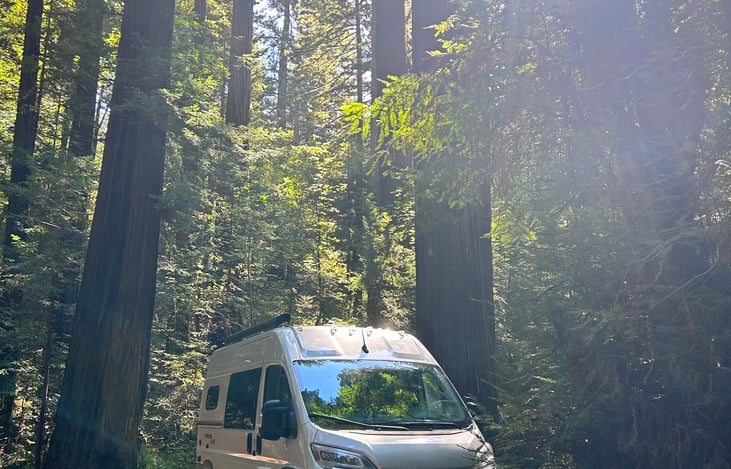 In the redwoods(only a half hour from Brookings!)