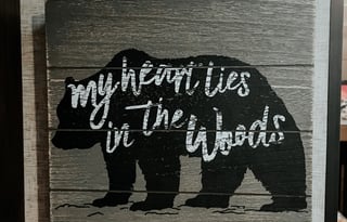 2018 Forest River RV Cherokee Grey Wolf 19SM