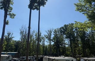 2018 Forest River RV Wildwood Heritage Glen