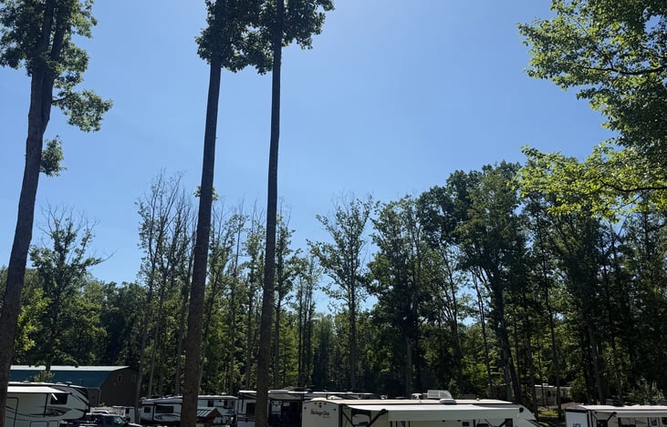 Nestled amongst the trees in Madison, VA.