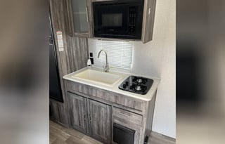 2020 Forest River RV Wildwood FSX 179DBK