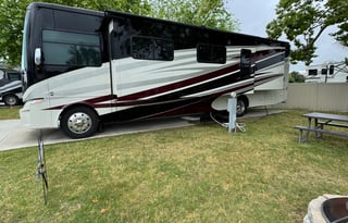 EUPHORIA! (DELIVERY ONLY; no pick up or driving)