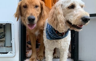 2010 Casita Casita Spirit Deluxe