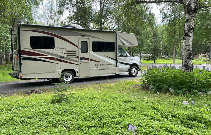 The Tanana in lupine season