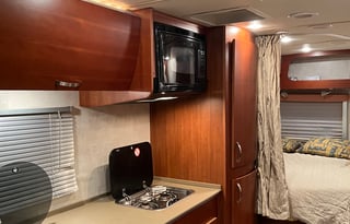 2009 Fleetwood Fleetwood RV Pulse Icon 24D
