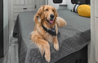 Ultimate Mercedes Couples Retreat on Wheels!