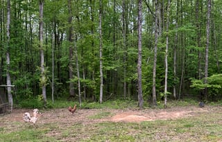 2022 Jayco Jay Flight 33RBTS