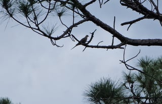 New 2025 RV Stationary. Rural area.