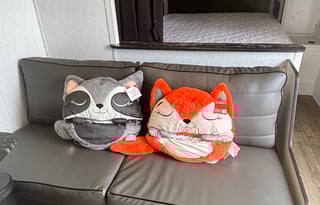 2022 Heartland Trail Runner 251 BH