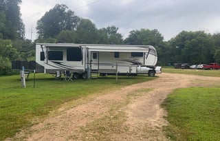 Marigold, Pet & Kid Friendly Fun