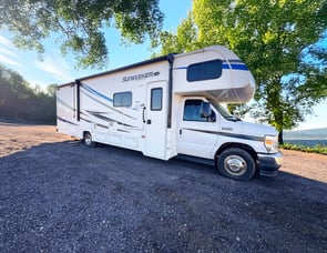 Forest River RV Sunseeker 3010DS Ford