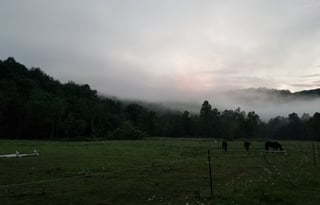 Helvetia riverfront 36' Grand Design w/slides