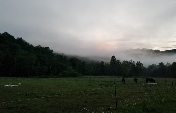 Helvetia is an escape from the city high in the West Virginia mountains.