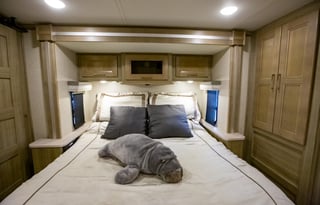 2020 Coachmen Sportscoach (Diesel Pusher)