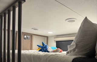 The Whimsical Wheelhouse