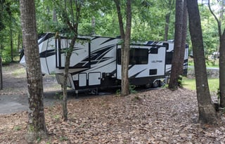 2019 Dutchmen RV Voltage V4115