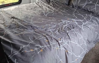 Pet friendly RV Rental