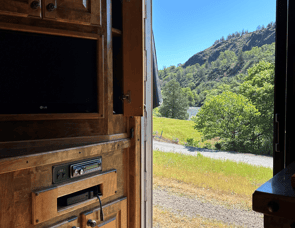 Bloomer Bloomer The Evolution