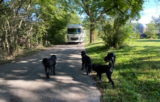 2020 Thor Motor Coach ACE 30.4 (Wander Woman)