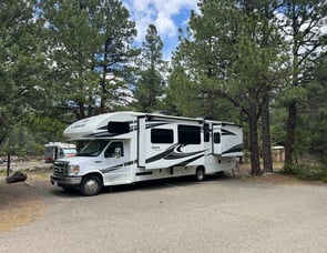 Jayco Greyhawk 29MV