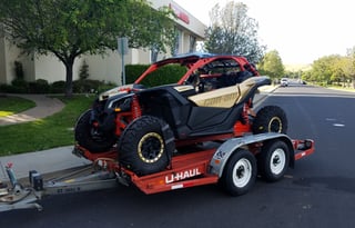 Fun Fun Fun in the Sun