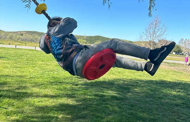 Technically not allowed to attach anything to the trees ...  not an endorsement , but sure looks like fun.