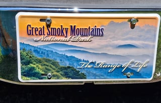 Bubbles Forest River Solera C class