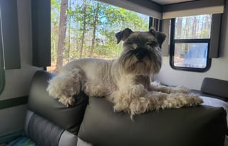 Bunk Bed Travel Trailer in Forest Virginia