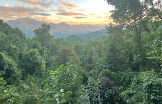 Smoky Terrace - near Waynesville entrance BRP