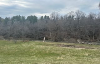 Simply Renovated Camper