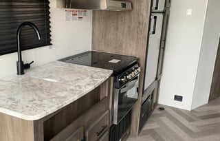 2020 Forest River RV Salem Cruise Lite 251SSXL