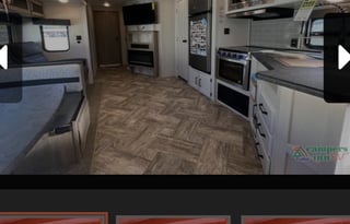 Zwisle's Galloping Palomino