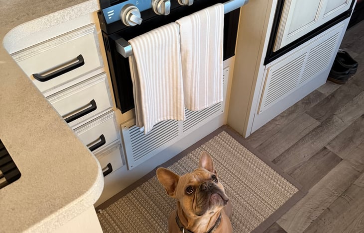 pet friendly &big lou approved