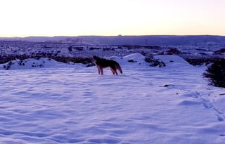 Kaedoe-Stationary RV on the Navajo Nation