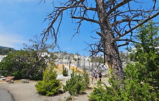 "Casita De Camino"  Ready for a Great Adventure