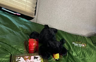 'Victoria' 2020 Viking Ultra-Lite 17BH